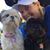 Lauren Cooley Deaton's profile image