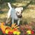 Angela Dubose Richmond's profile image