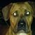 Jeremy Goertzen's profile image