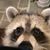 Donna Marie's profile image