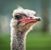 Glenn Conley's profile image
