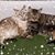 Marilyn Opperude's profile image