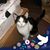 Carol Romaine Knight's profile image