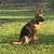 Donna M. Post's profile image