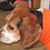 Karen Shoemaker's profile image