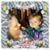 Darlene Mcpheron-Gentry's profile image