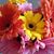 Lynn Beaumont's profile image