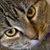 Betty Ellen's profile image