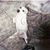 Vaughn Brizell's profile image