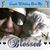 Liz Medina's profile image