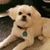 Bud Becky Ostendorf's profile image