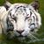 Louie D Krack's profile image