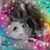 Jessie Pibbles's profile image