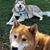 Patricia Lee Pross's profile image
