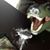 Timothy William Felska's profile image