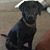 Marty Lemp's profile image