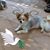 Margie Conover's profile image