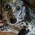 Brent Trozelle's profile image