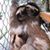 Darlene Van Housen's profile image