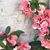 Gayla Moon Hattaway's profile image