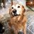 Cindy Headley's profile image