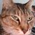 Sherri Decker's profile image