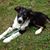 Pamela Helton's profile image