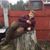 Terry Threlfall's profile image