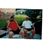 Pat Elliott Onderdonk's profile image