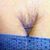 John Carson's profile image