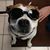 Linda Orrego's profile image