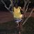 Angelia Mcgowan's profile image