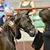 Jennifer Beattie's profile image