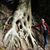 Ann Ryalls's profile image