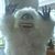 Dennis Rice's profile image