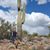 Danette Gillespie's profile image