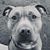 Derek King's profile image