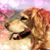 Lacey Martin Thaxton's profile image