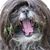 Rob Westfall's profile image