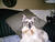 Linda E.'s profile image