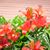 Candy Sabey's profile image
