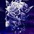 Ellen Emerson-shell's profile image