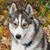 Mike Connors's profile image