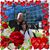 Deb Lawson's profile image