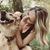 Tara Walker's profile image