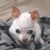 Loretta Asselin's profile image