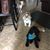 M Kim Haverty's profile image