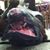 Tike Swank's profile image