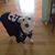 Bobb Babiak's profile image