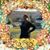 Annette Harney's profile image